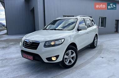 Внедорожник / Кроссовер Hyundai Santa FE 2010 в Радивилове