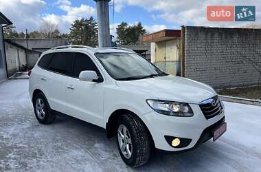 Внедорожник / Кроссовер Hyundai Santa FE 2010 в Радивилове