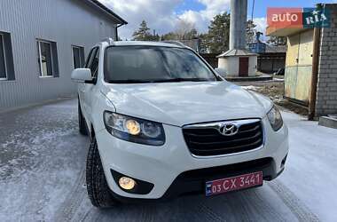 Внедорожник / Кроссовер Hyundai Santa FE 2010 в Радивилове