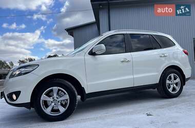 Внедорожник / Кроссовер Hyundai Santa FE 2010 в Радивилове