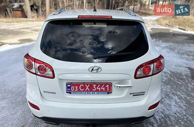 Внедорожник / Кроссовер Hyundai Santa FE 2010 в Радивилове