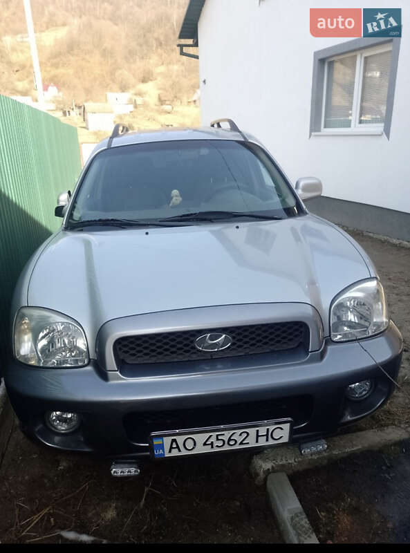 Внедорожник / Кроссовер Hyundai Santa FE 2004 в Рахове