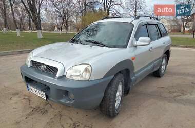 Позашляховик / Кросовер Hyundai Santa FE 2003 в Чернігові