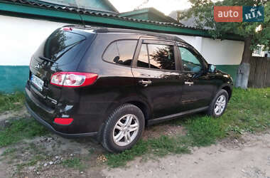 Внедорожник / Кроссовер Hyundai Santa FE 2010 в Новгород-Северском