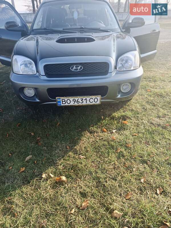 Внедорожник / Кроссовер Hyundai Santa FE 2003 в Подгайцах