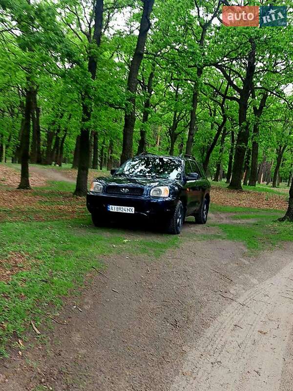Позашляховик / Кросовер Hyundai Santa FE 2004 в 