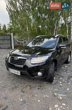 Позашляховик / Кросовер Hyundai Santa FE 2010 в 