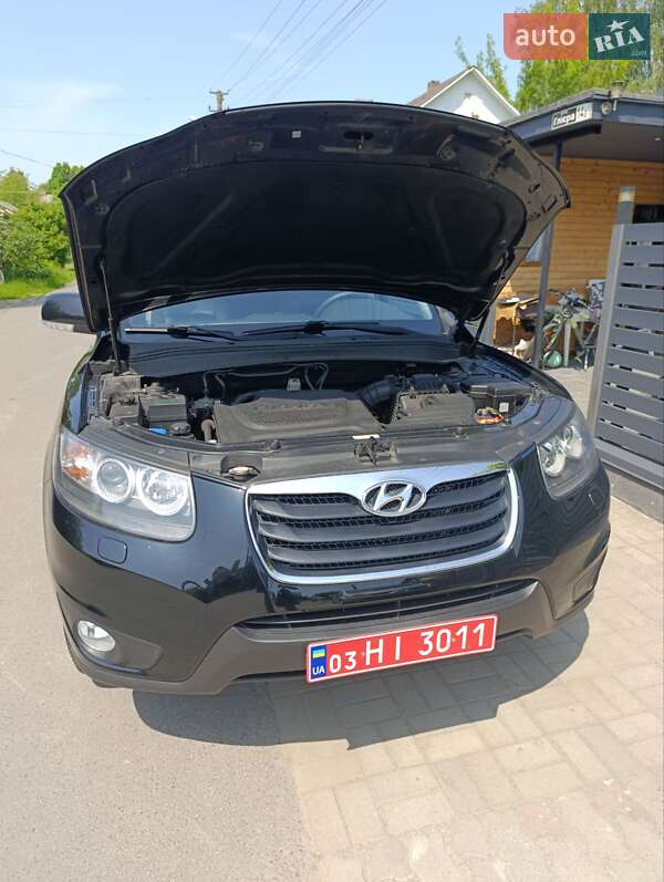 Позашляховик / Кросовер Hyundai Santa FE 2011 в Луцьку