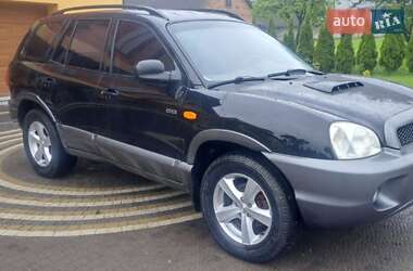 Внедорожник / Кроссовер Hyundai Santa FE 2003 в Калуше