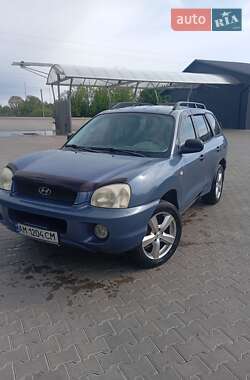 Позашляховик / Кросовер Hyundai Santa FE 2003 в Житомирі