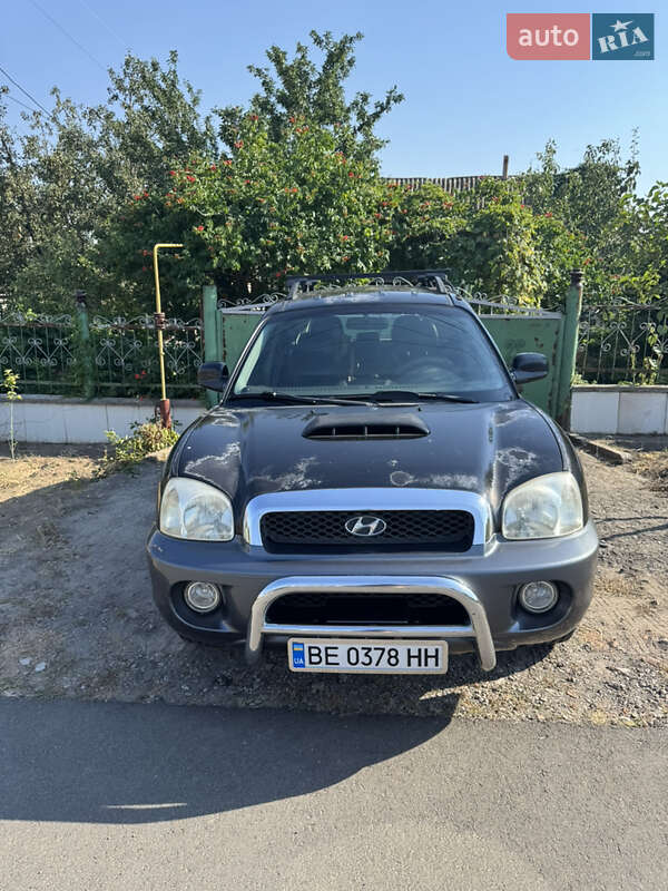 Внедорожник / Кроссовер Hyundai Santa FE 2003 в Николаеве