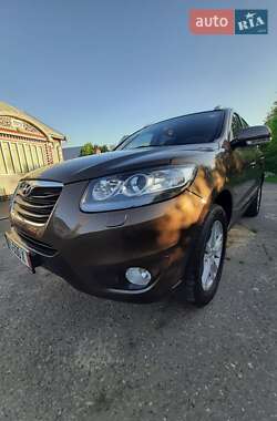 Позашляховик / Кросовер Hyundai Santa FE 2010 в Чернівцях