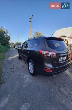 Позашляховик / Кросовер Hyundai Santa FE 2010 в Чернівцях