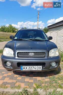 Внедорожник / Кроссовер Hyundai Santa FE 2003 в Харькове