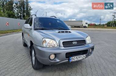 Внедорожник / Кроссовер Hyundai Santa FE 2003 в Кременце