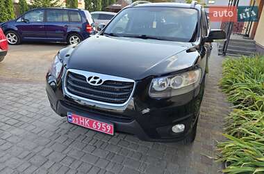 Внедорожник / Кроссовер Hyundai Santa FE 2010 в Радивилове