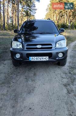 Минивэн Hyundai Santa FE 2005 в 