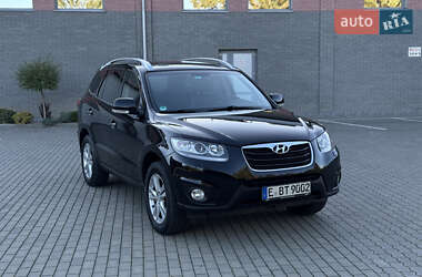 Внедорожник / Кроссовер Hyundai Santa FE 2011 в Ровно