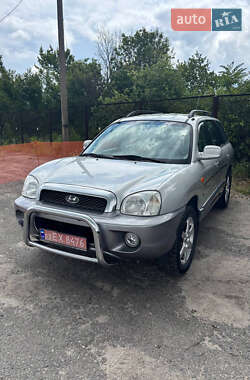 Внедорожник / Кроссовер Hyundai Santa FE 2005 в Запорожье