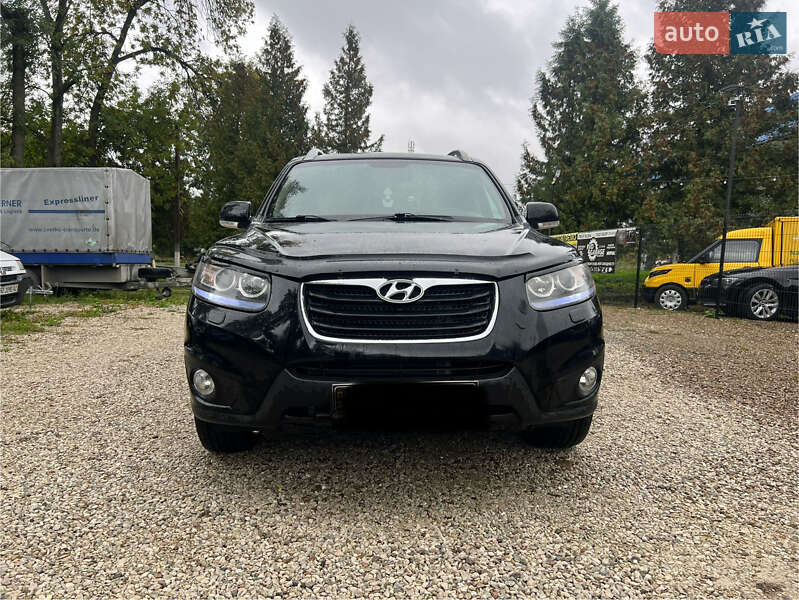 Позашляховик / Кросовер Hyundai Santa FE 2010 в Заліщиках