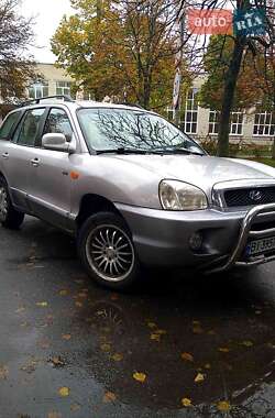 Внедорожник / Кроссовер Hyundai Santa FE 2003 в Чернигове