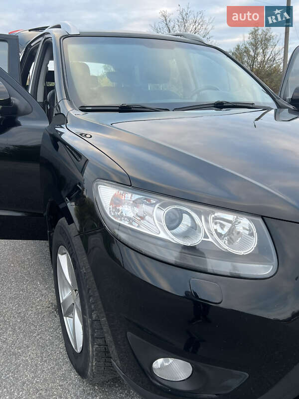 Позашляховик / Кросовер Hyundai Santa FE 2011 в Шаргороді