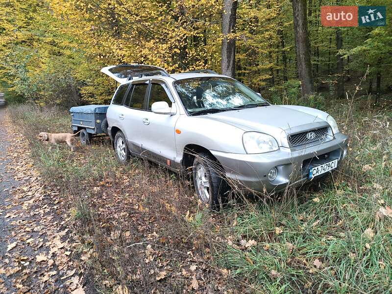 Позашляховик / Кросовер Hyundai Santa FE 2003 в Черкасах