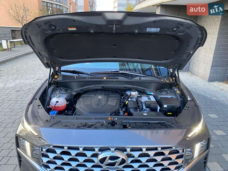 Внедорожник / Кроссовер Hyundai Santa FE 2020 в Ивано-Франковске фото 94 Внедорожник / Кроссовер Hyundai Santa FE 2020 в Ивано-Франковске