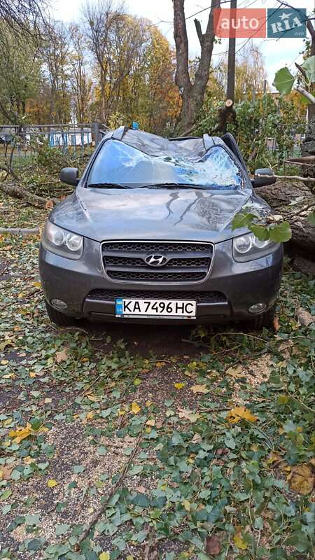 Позашляховик / Кросовер Hyundai Santa FE 2007 в 