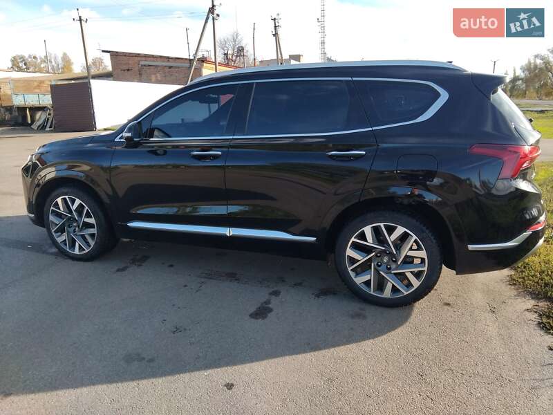 Внедорожник / Кроссовер Hyundai Santa FE 2020 в Новоархангельске фото 21 Внедорожник / Кроссовер Hyundai Santa FE 2020 в Новоархангельске