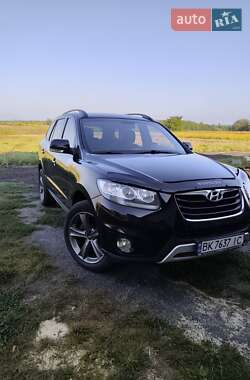 Внедорожник / Кроссовер Hyundai Santa FE 2011 в Ровно