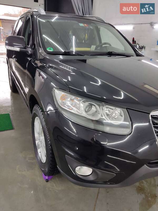 Внедорожник / Кроссовер Hyundai Santa FE 2011 в Дубно фото 3 Внедорожник / Кроссовер Hyundai Santa FE 2011 в Дубно