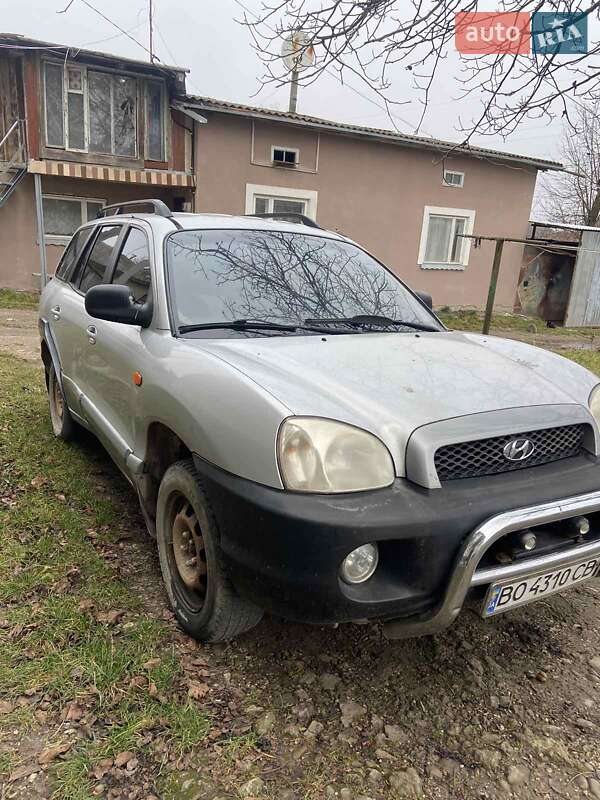 Внедорожник / Кроссовер Hyundai Santa FE 2001 в Бучаче