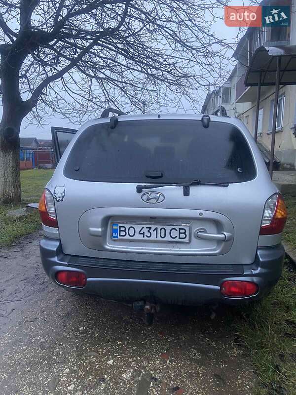 Внедорожник / Кроссовер Hyundai Santa FE 2001 в Бучаче