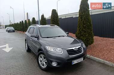 Внедорожник / Кроссовер Hyundai Santa FE 2009 в Тернополе