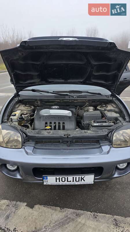 Внедорожник / Кроссовер Hyundai Santa FE 2004 в Хмельницком