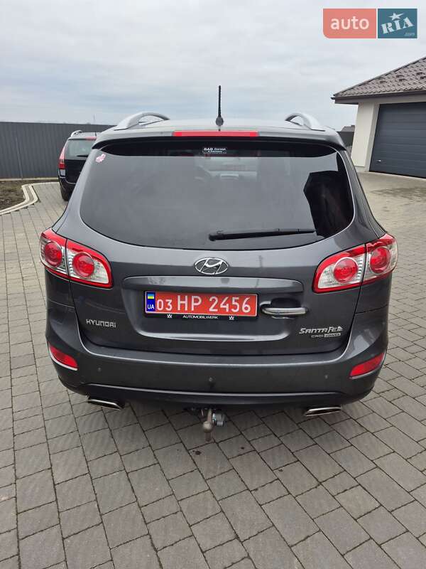 Позашляховик / Кросовер Hyundai Santa FE 2010 в Луцьку