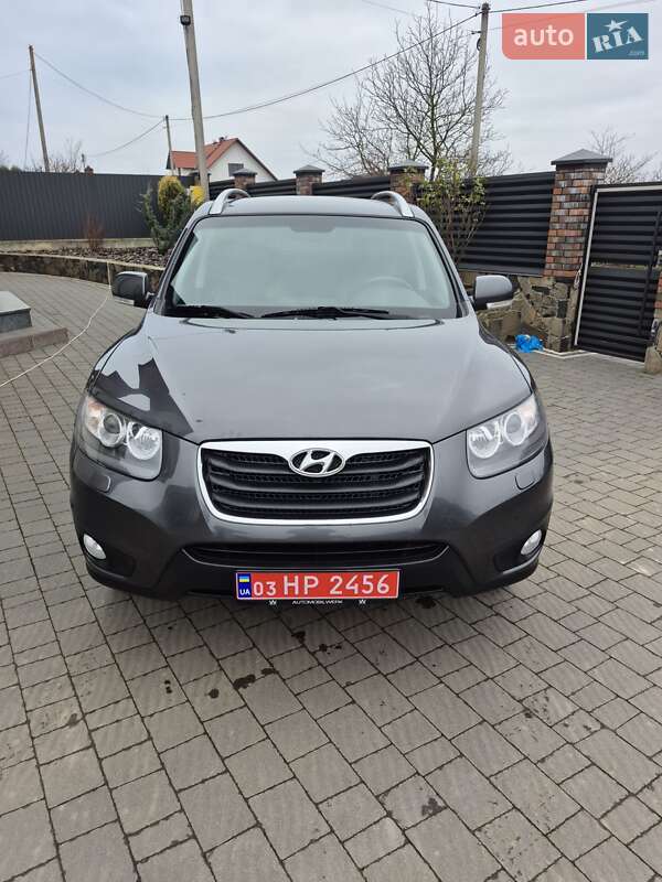 Позашляховик / Кросовер Hyundai Santa FE 2010 в Луцьку