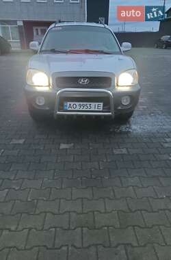 Внедорожник / Кроссовер Hyundai Santa FE 2004 в Хусте