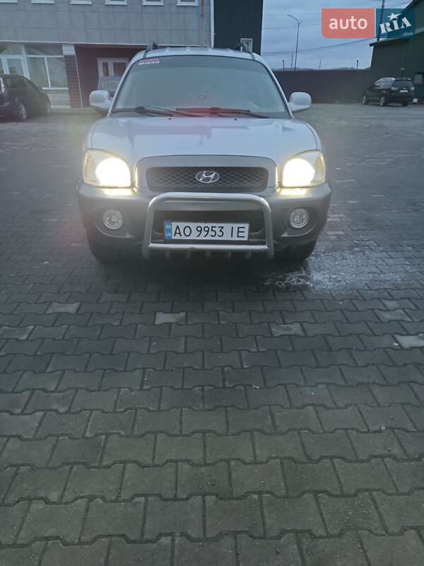 Внедорожник / Кроссовер Hyundai Santa FE 2004 в Хусте