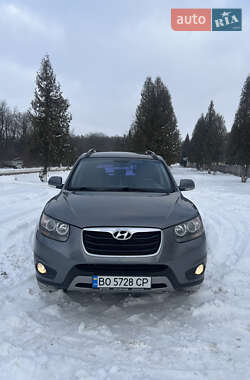 Внедорожник / Кроссовер Hyundai Santa FE 2012 в Бучаче