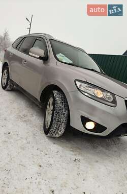Позашляховик / Кросовер Hyundai Santa FE 2011 в Чернівцях