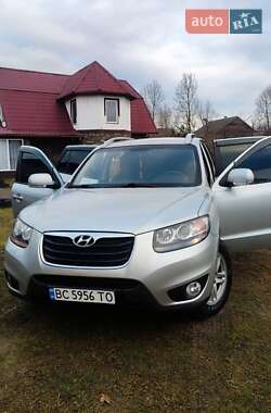 Внедорожник / Кроссовер Hyundai Santa FE 2010 в Сколе