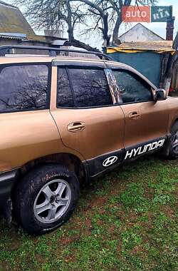 Внедорожник / Кроссовер Hyundai Santa FE 2002 в Коблеве