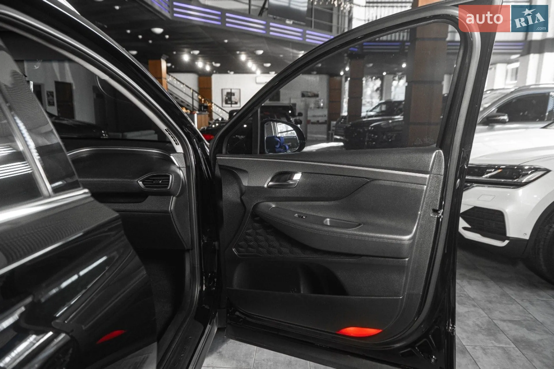 2019 Hyundai Santa Fe - мініатюра 31