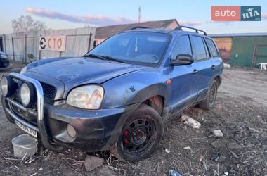 Внедорожник / Кроссовер Hyundai Santa FE 2002 в Киеве