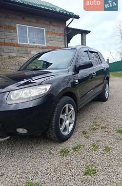 Внедорожник / Кроссовер Hyundai Santa FE 2006 в Чорткове