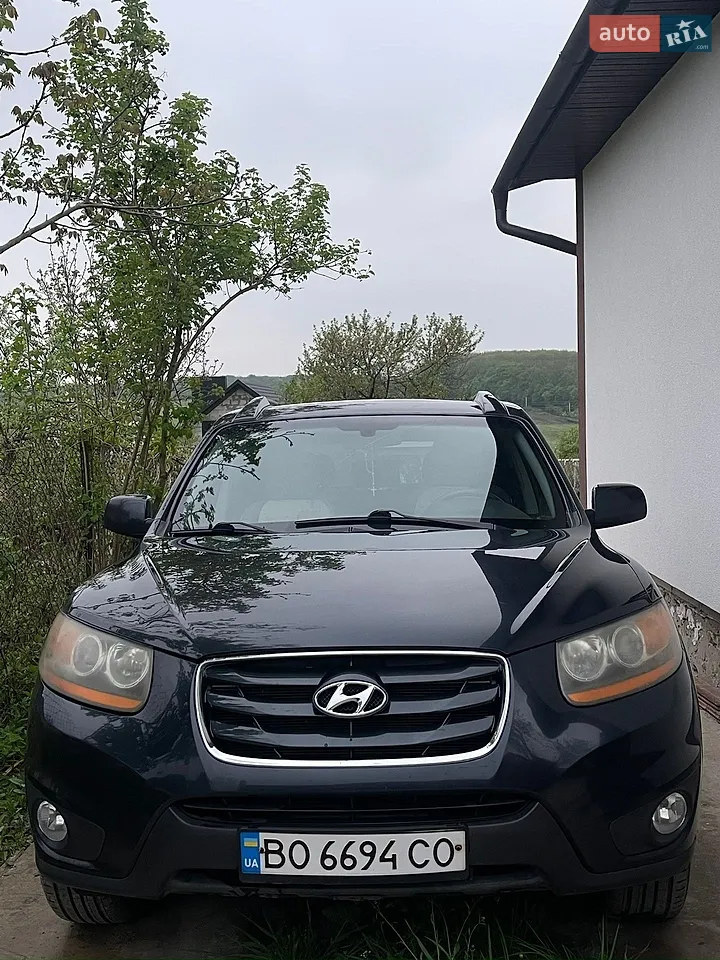 2010 Hyundai Santa Fe - мініатюра 21
