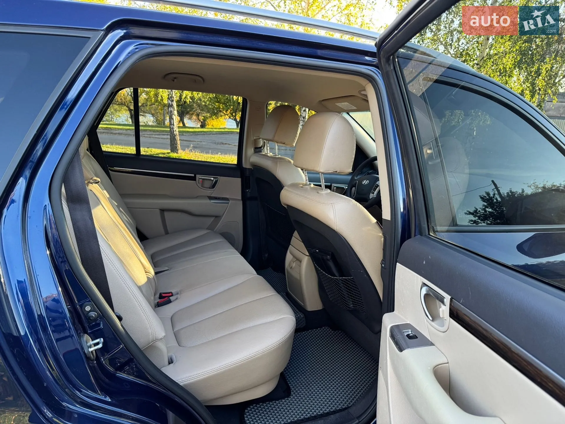 2010 Hyundai Santa Fe - мініатюра 13