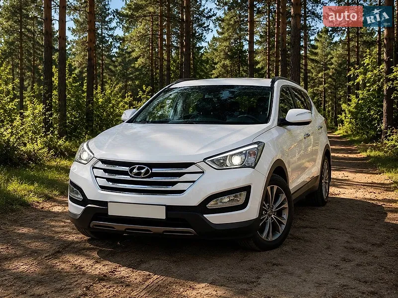 Hyundai Santa FE 2012 VIN KMHSH81XDCU856002 фото оголошення 32 з 65